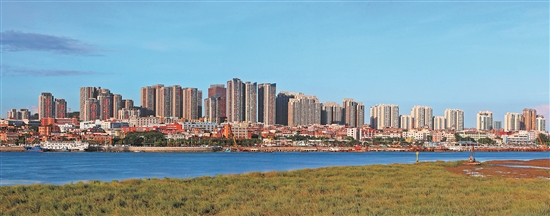 東海片區高樓群.jpg